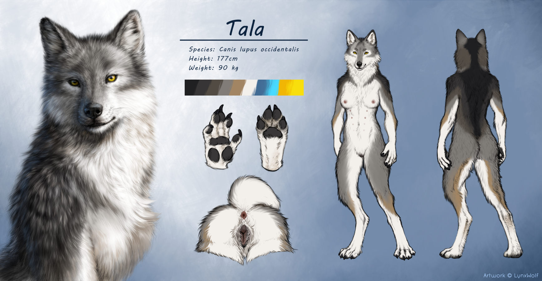 Tala NSFW Refsheet